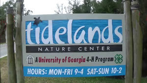 Sign at road for Jekyll Creek pier sign at road for jekyll creek pier